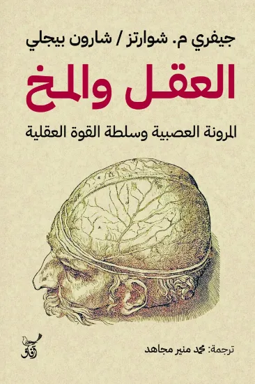 صورة العقل والمخ